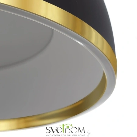 CITILUX CL736251 FLOOM Черный+Золото Светильник Подвесной CITILUX