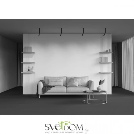 Потолочные светильники Maytoni C142CL-6W3K-B от Магазина Svetdom.by