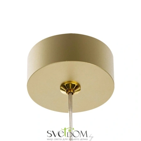 Citilux Hardy CL002P12 Подвесной светильник Золото CITILUX