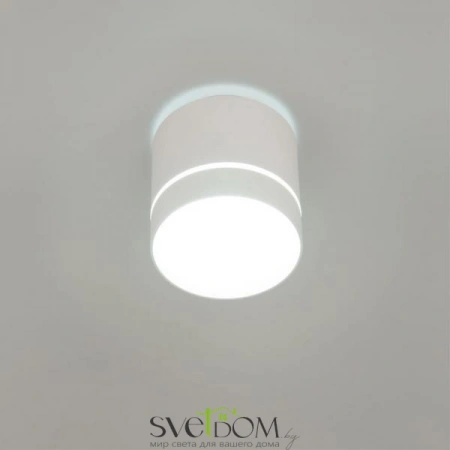 Накладные светильники CITILUX CL745020N от Магазина Svetdom.by