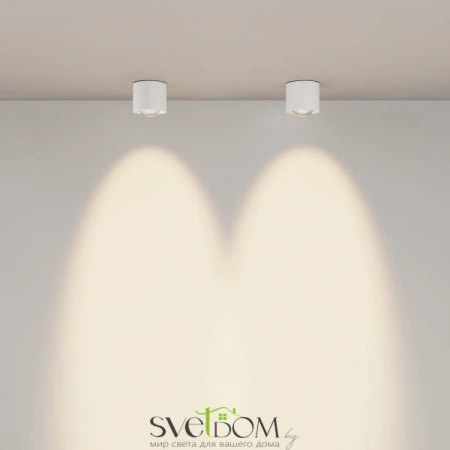 Потолочные светильники Maytoni C217CL-15W3K-W от Магазина Svetdom.by