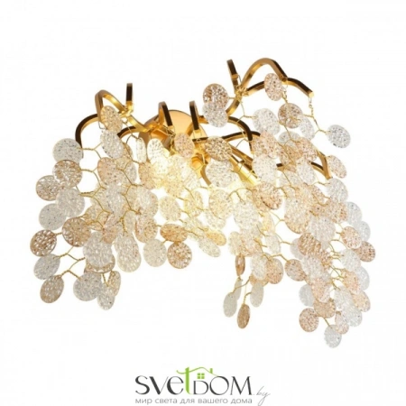 Настенные светильники APL.845.01.03 Aployt | Svetdom.by