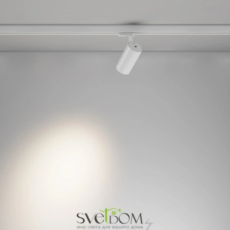 TR197-3-12WCCT-M-W Maytoni