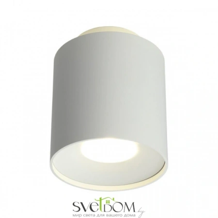 Накладные светильники Omnilux OML-100309-16 от Магазина Svetdom.by