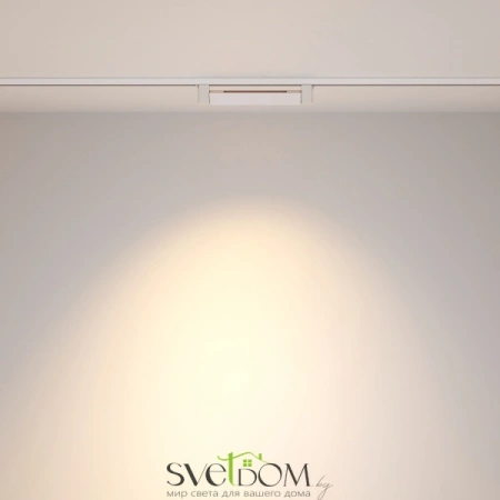 Трековый светильник TR010-1-10W3K-M-W Maytoni