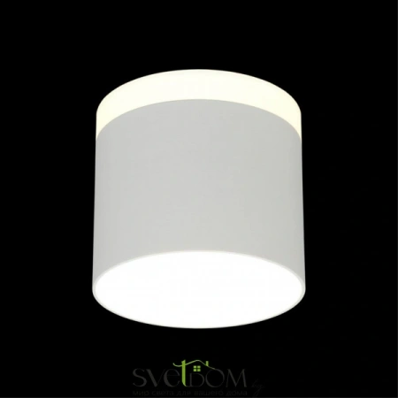 Накладные светильники Omnilux OML-102309-16 от Магазина Svetdom.by