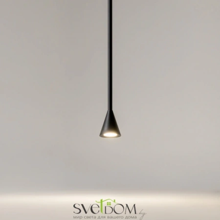 Подвесные светильники Maytoni P064PL-01B-1 от Магазина Svetdom.by