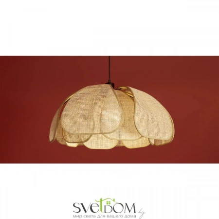 Подвесные светильники Freya FR5529PL-01B от Магазина Svetdom.by