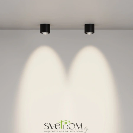 Потолочные светильники Maytoni C217CL-15W4K-B от Магазина Svetdom.by