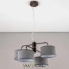 Люстры подвесныеCL428241 CITILUX | Svetdom.by
