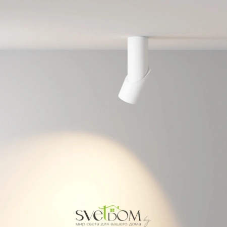 Потолочные светильники Maytoni C027CL-L10W от Магазина Svetdom.by