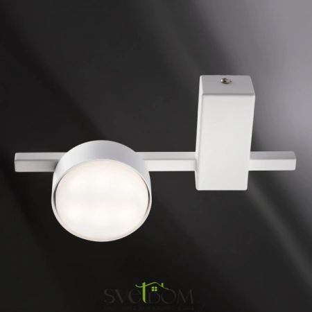 Потолочные светильники Freya FR5363CL-01W от Магазина Svetdom.by