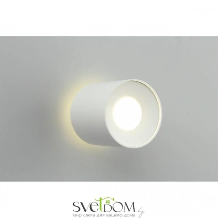 Накладные светильники Omnilux OML-100309-16 от Магазина Svetdom.by