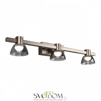 Светильник настенный (Бра) Aployt  APL.788.01.03