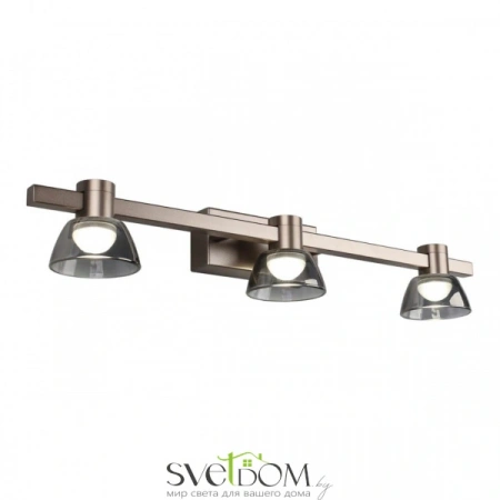 Настенные светильники APL.788.01.03 Aployt | Svetdom.by