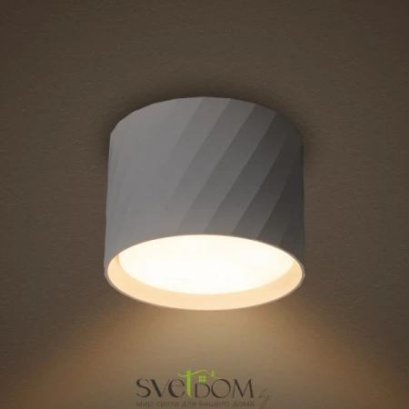 Потолочные светильники  LDL-001W от Магазина Svetdom.by