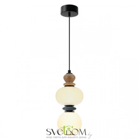 Подвесные светильники Aployt APL.090.06.10 от Магазина Svetdom.by