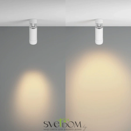 Потолочные светильники Maytoni C055CL-L12W2.7K-Z-W от Магазина Svetdom.by