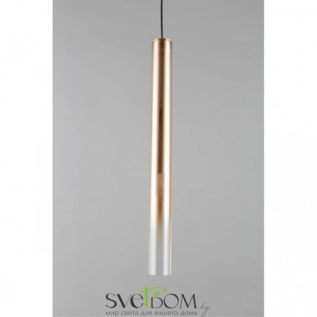 Подвесные светильники Aployt APL.059.06.04 от Магазина Svetdom.by