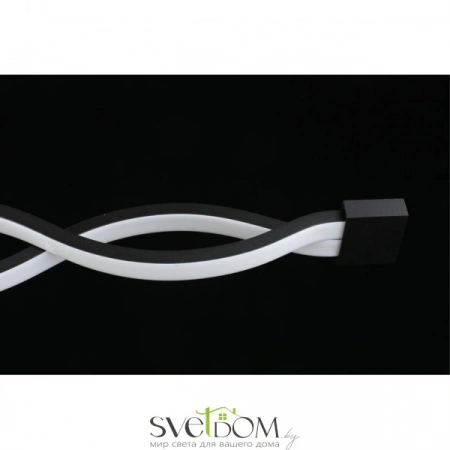 Настенно-потолочные светильники Aployt APL.002.12.36 от Магазина Svetdom.by