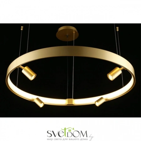 Люстры подвесныеAPL.041.03.50 Aployt | Svetdom.by