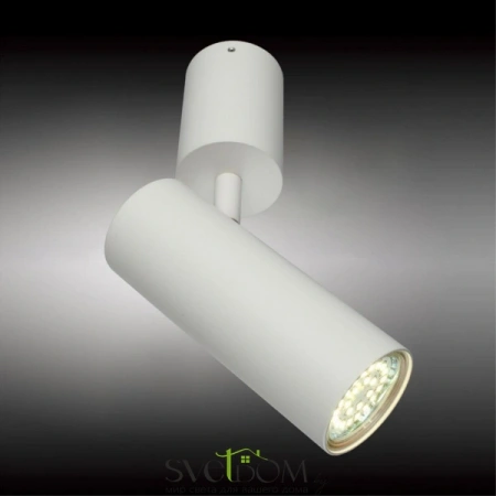 Настенно-потолочные светильники Aployt APL.007.02.01 от Магазина Svetdom.by