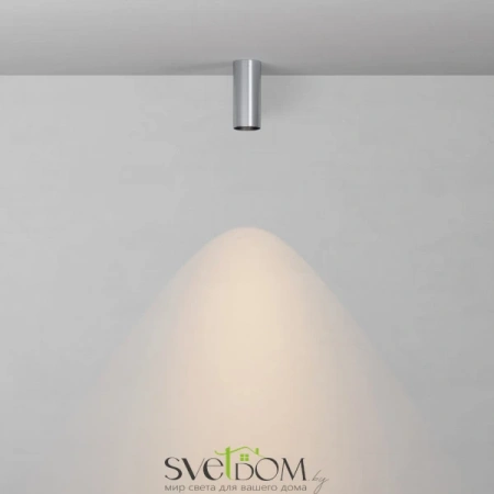 Потолочные светильники Maytoni C056CL-L12W2.7K-W-PT от Магазина Svetdom.by