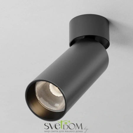 Потолочные светильники Maytoni C055CL-L12W2.7K-SS-B от Магазина Svetdom.by