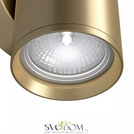 Настенные светильники C068WL-01MG Maytoni | Svetdom.by