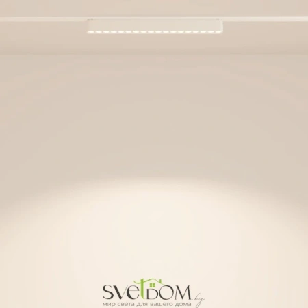 Трековый светильник Technical TR082-1-18W4K-M-W Maytoni