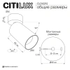 Накладной светильник Citilux AXEL CL512212 CITILUX