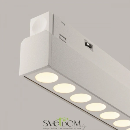 TR031-4-24WTW-DD-W Maytoni