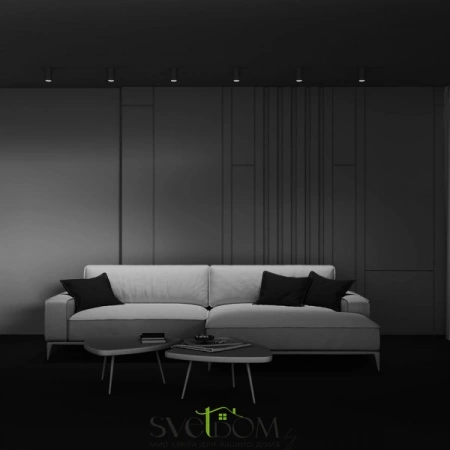 Потолочные светильники Maytoni C003CW-01W-1 от Магазина Svetdom.by