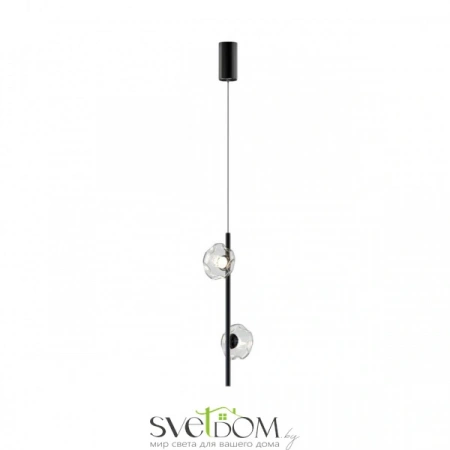 Подвесные светильники Aployt APL.074.16.02 от Магазина Svetdom.by