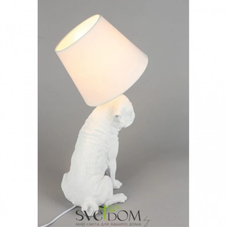 OML-16314-01 Omnilux