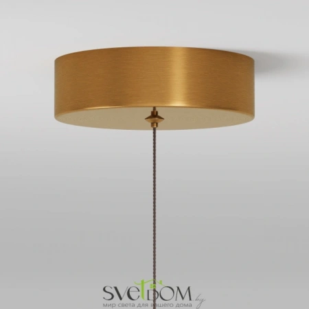 Подвесные светильники Maytoni MOD293PL-L6BS3K от Магазина Svetdom.by