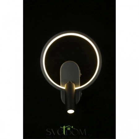 Настенные светильники APL.346.01.02 Aployt | Svetdom.by