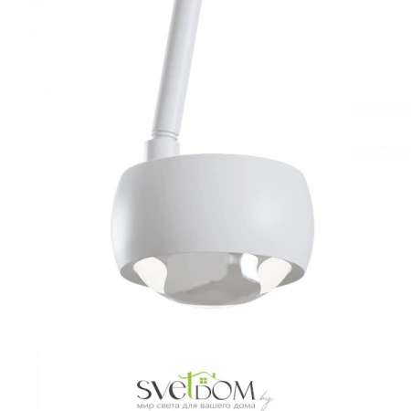 Фото Светильники Maytoni MOD072CL-L8W3K Светильники Maytoni MOD072CL-L8W3K от Магазина Svetdom.by