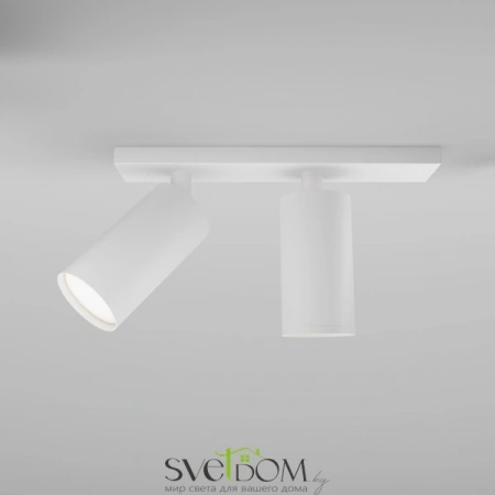 Потолочные светильники Maytoni C051CL-U-2W от Магазина Svetdom.by