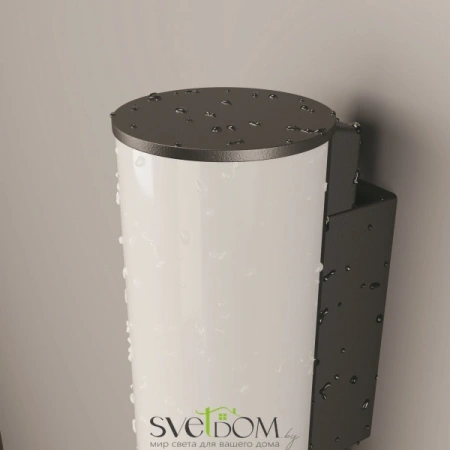 Настенные светильники O434WL-L12GF3K Maytoni | Svetdom.by