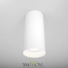 Фото Потолочные светильники Maytoni C010CL-01W Потолочные светильники Maytoni C010CL-01W от Магазина Svetdom.by