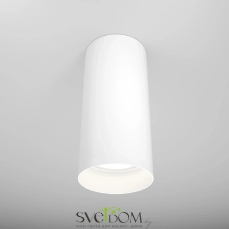 Фото Потолочные светильники Maytoni C010CL-01W Потолочные светильники Maytoni C010CL-01W от Магазина Svetdom.by
