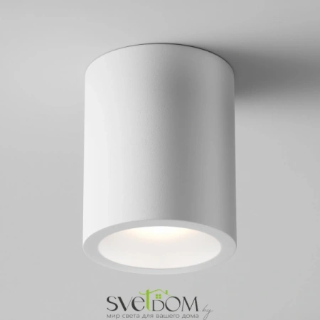 Потолочные светильники Maytoni C001CW-01W от Магазина Svetdom.by