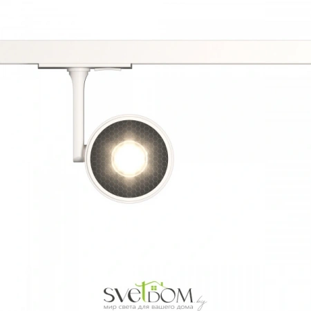 TR024-1-10W3K Maytoni