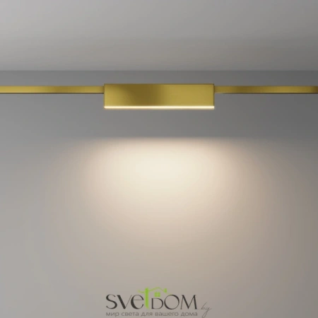 Трековый светильник Technical TR151-1-12W3K-BS Maytoni