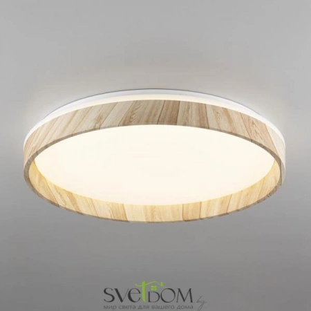 Потолочные светильники CITILUX CL753452G от Магазина Svetdom.by