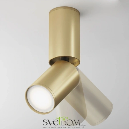 Потолочные светильники Maytoni C051CL-01G от Магазина Svetdom.by
