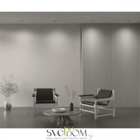 Встраиваемые светильники Maytoni DL024-2-01B от Магазина Svetdom.by