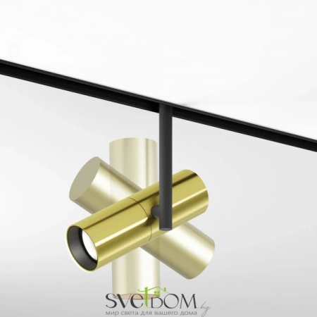 TR005-2-12W4K-BBS Maytoni