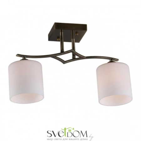 Люстры потолочныеOML-55317-02 Omnilux | Svetdom.by
